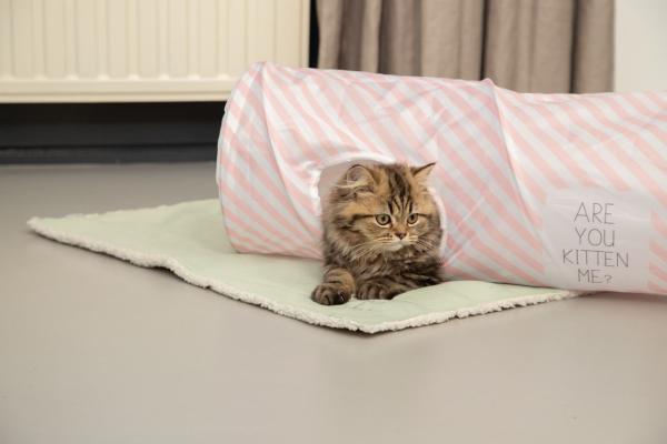 beeztees Kitten Plüsch-Decke Tilou Katzendecke